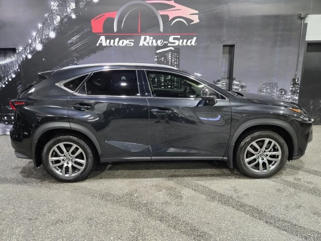 Lexus NX 300 - 2021